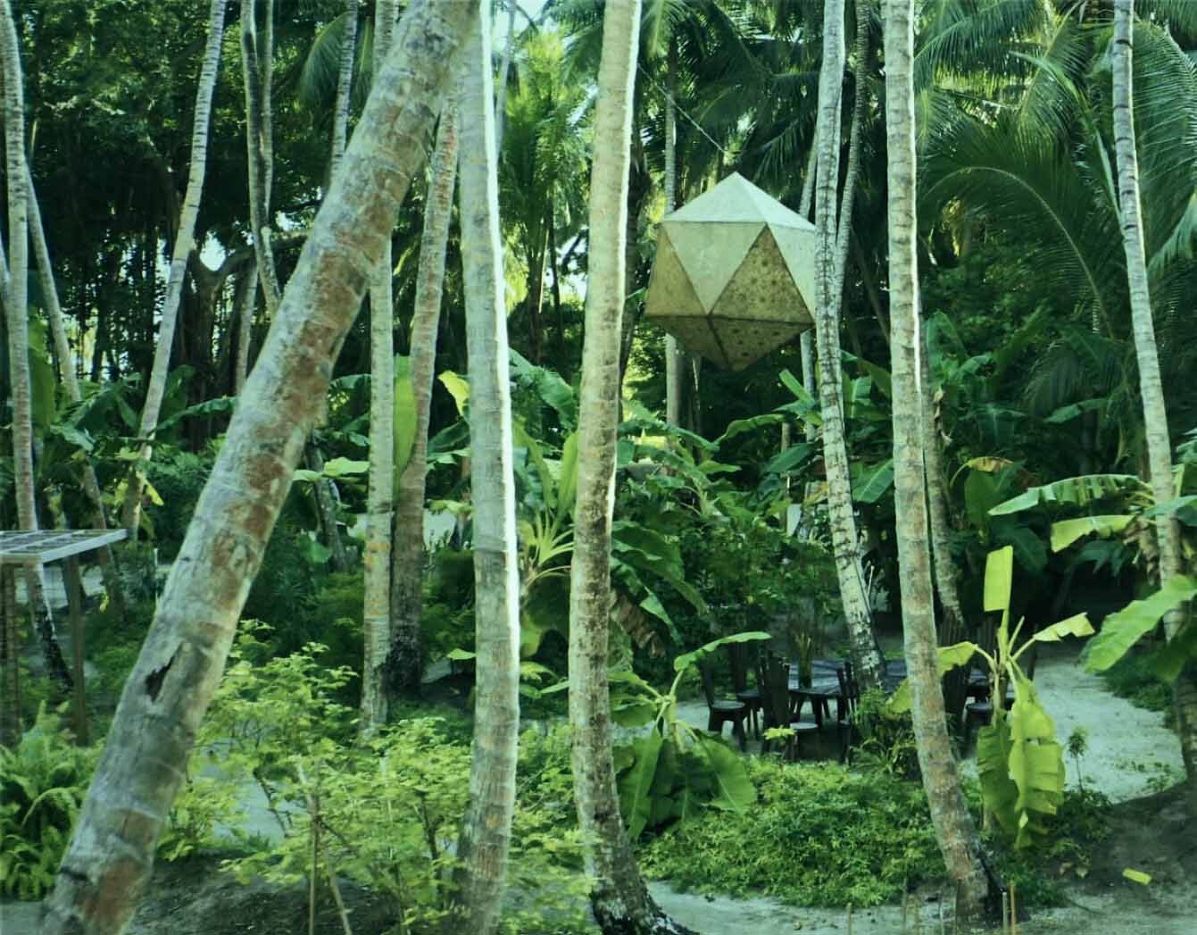 Amilla Maldives Lush Island Jungle
