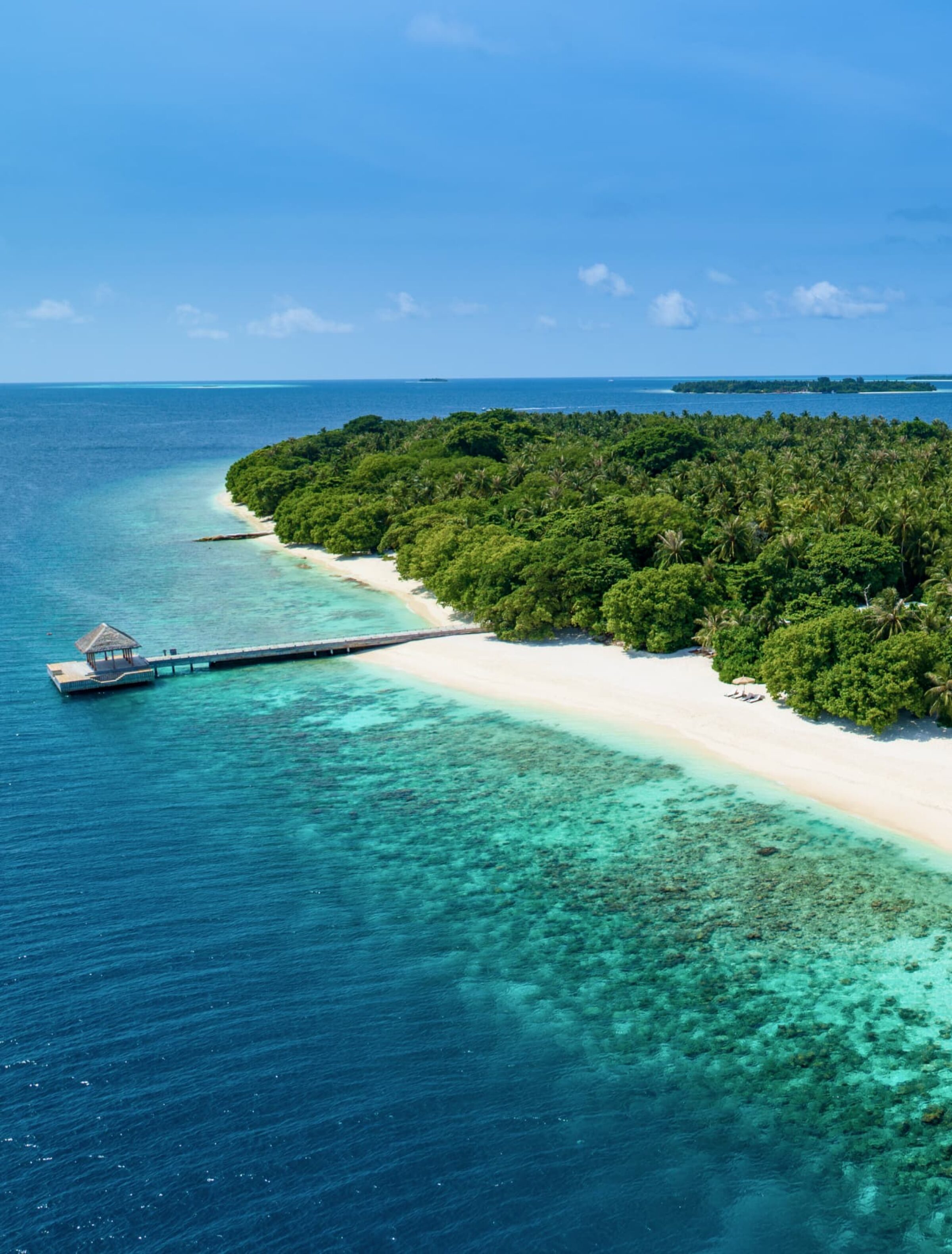 Thank You get in touch