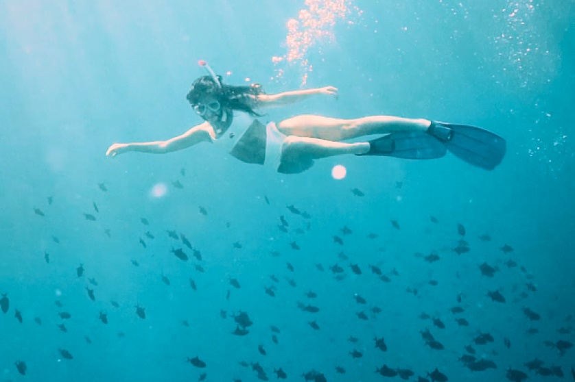 Maldives Snorkelling Experience