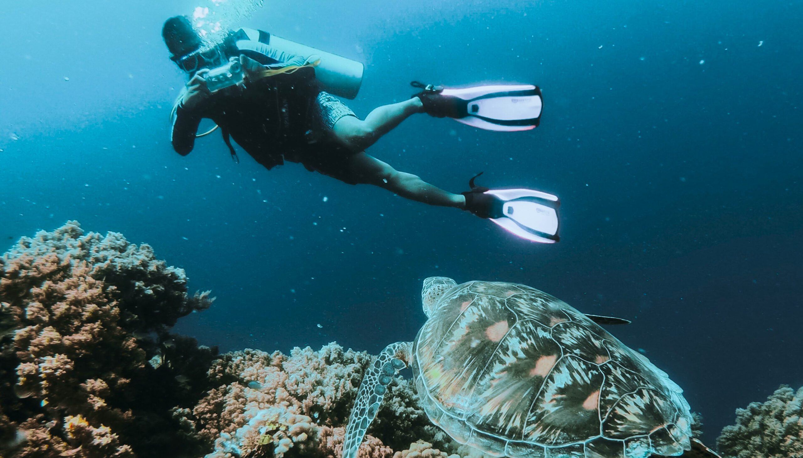 Snorkelling in the Maldives