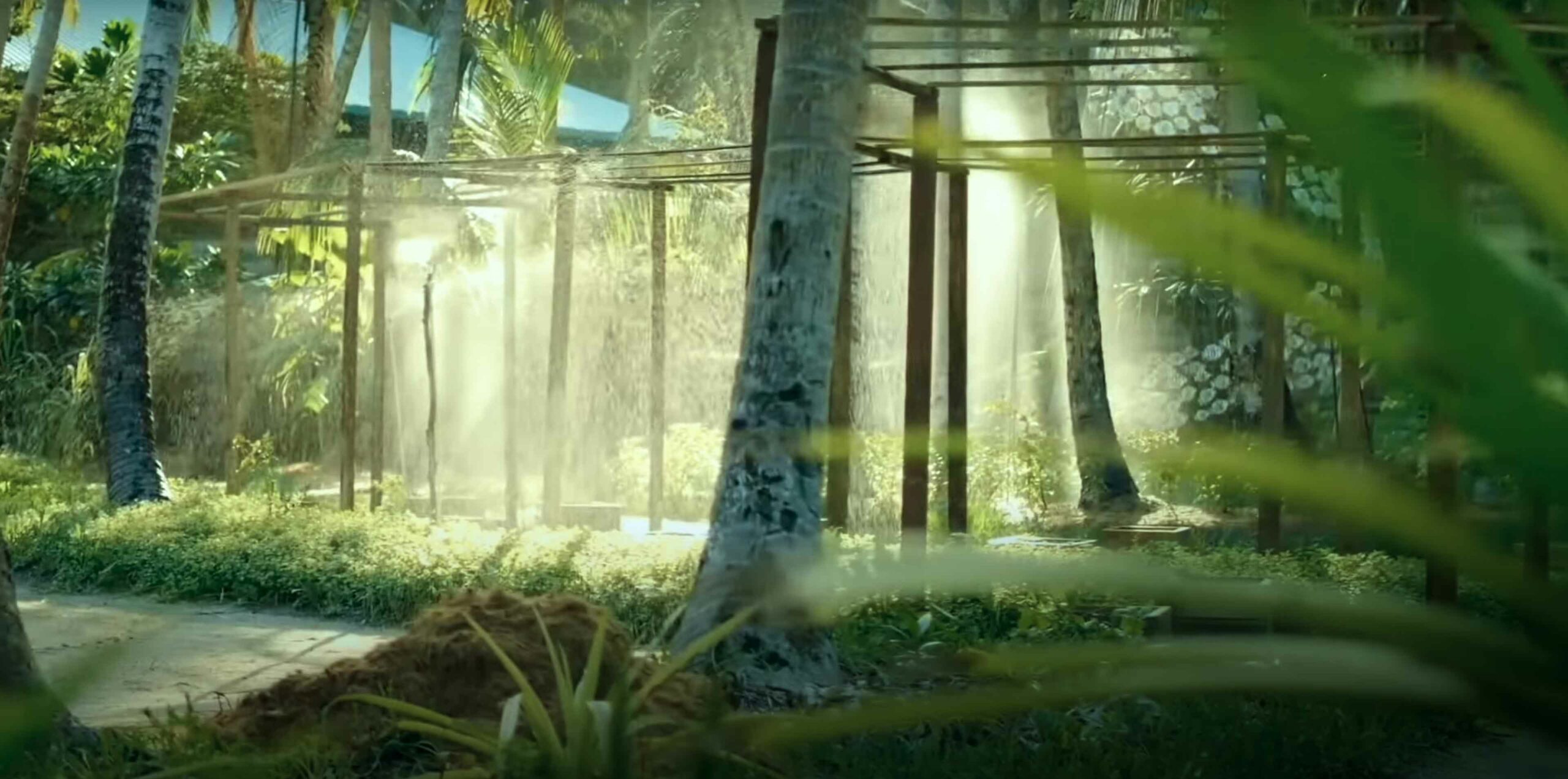 Mystique Garden - Enjoy the flavours from our hydroponic garden honouring traditional Maldivian agricultural practices