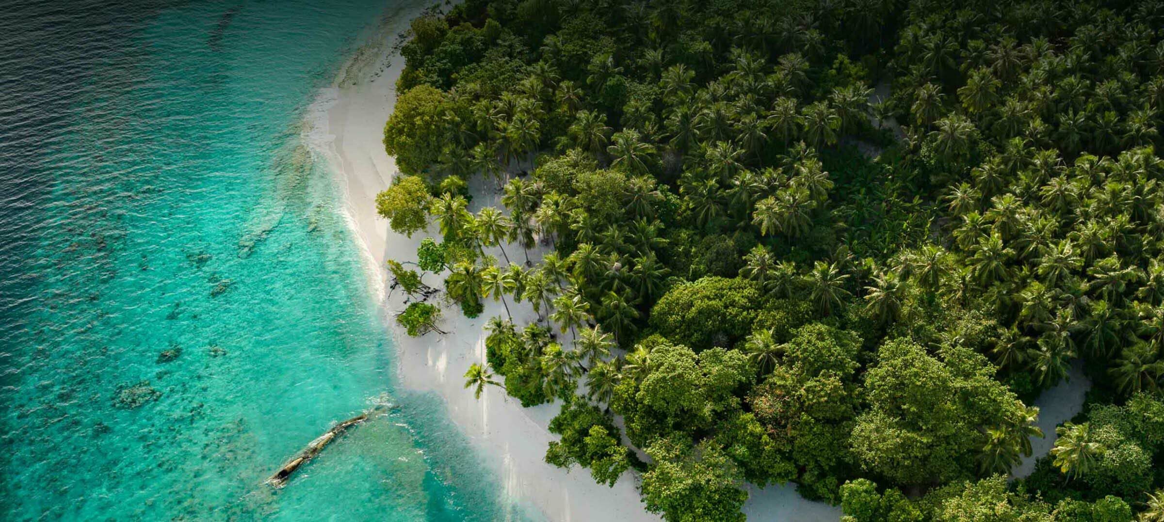 The shoreline and lush greenery at Amilla Maldives, an eco-friendly resort.