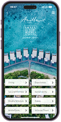 Pre-book your Maldives your experiences using the Amilla App.