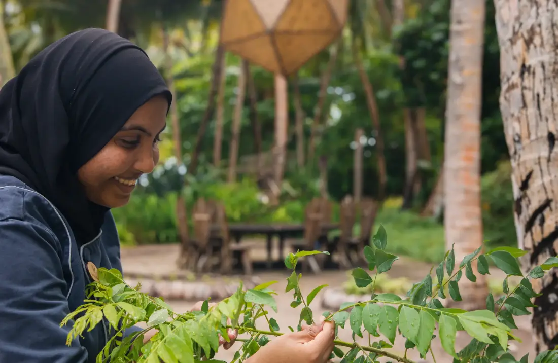 Chef Naf, Maldivian Chef